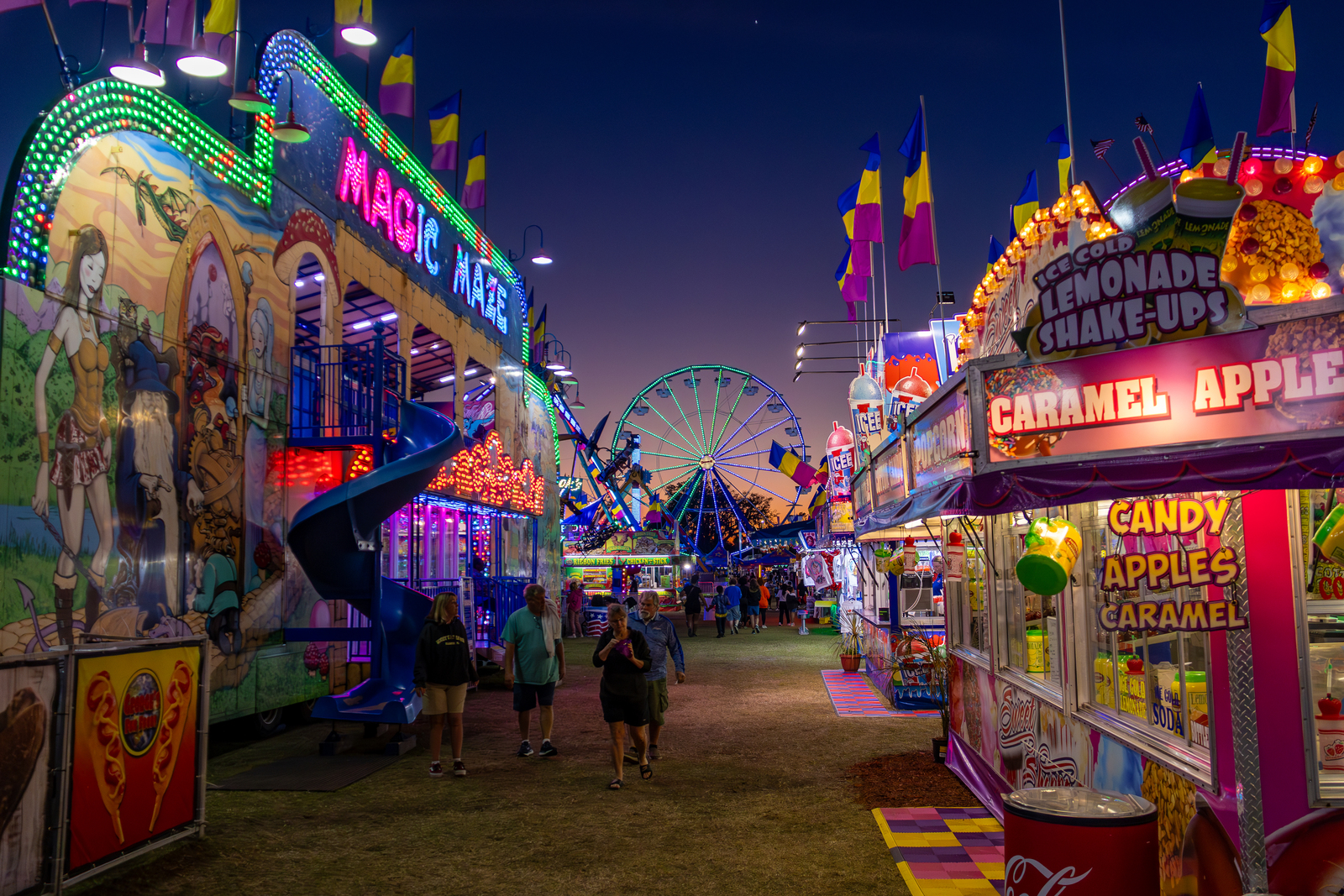 Plant City Florida Strawberry Festival (2026 Experience)